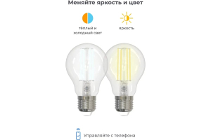 Купить SLS Лампа LED-09 LOFT E27 WiFi white-3.jpg